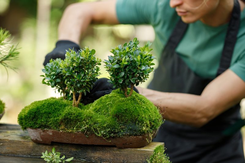 Bonsai Trimming