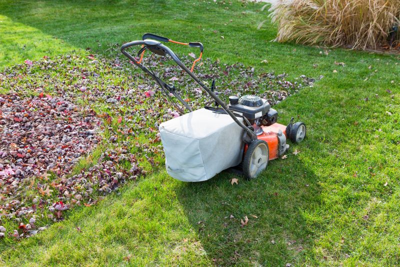 Equipment Used for Fall Cleanup