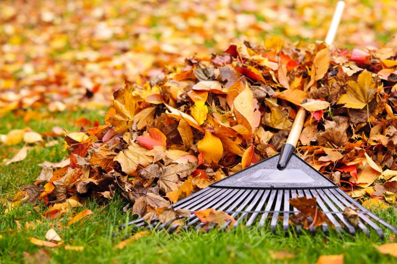 Fall Lawn Maintenance Tools